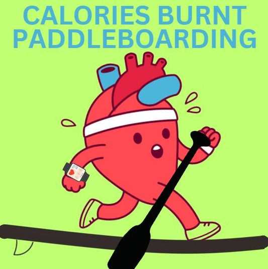 The Calorie-Burning Power of Paddleboarding - We Put it to the Test! - Poole Harbour Watersports