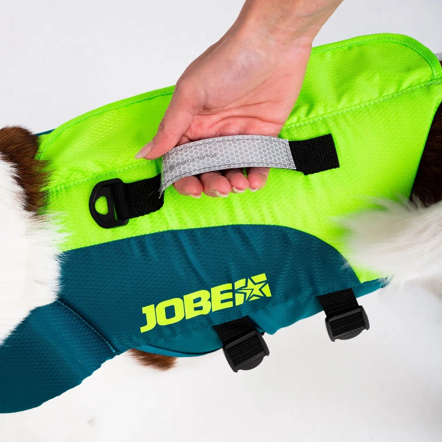 Jobe Pet Vest - Poole Harbour Watersports