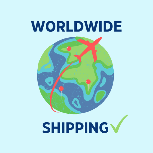 Worldwide shipping illustrated by a plane flying over a globe with map pins and checkmark.