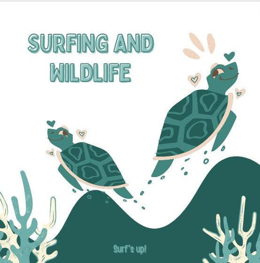 Surfing and Wildlife | Poole Harbour Watersports - Poole Harbour Watersports