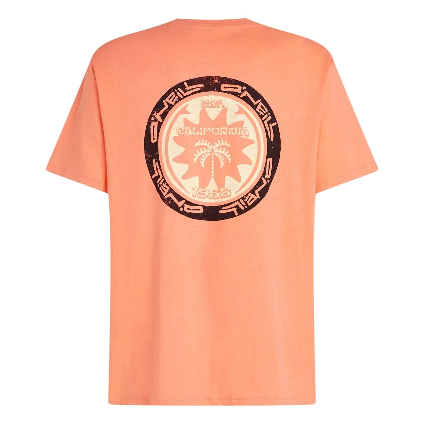 O'Neill Slub Back Print T-Shirt - Poole Harbour Watersports