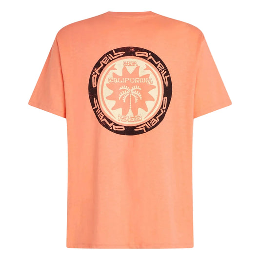 O'Neill Slub Back Print T-Shirt - Poole Harbour Watersports