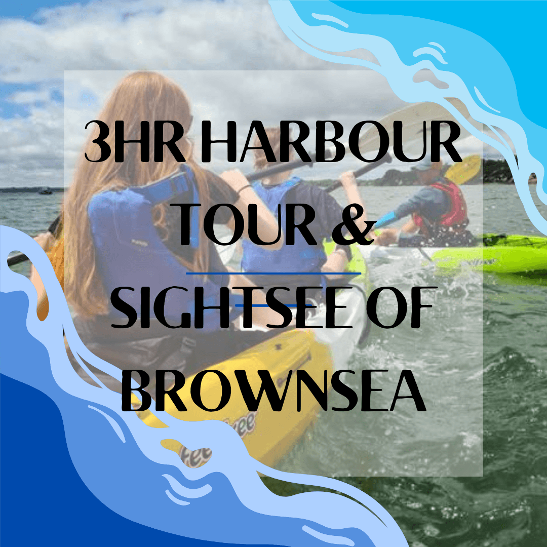 3HR Harbour Tour & Sightsee Of Brownsea! - Poole Harbour Watersports