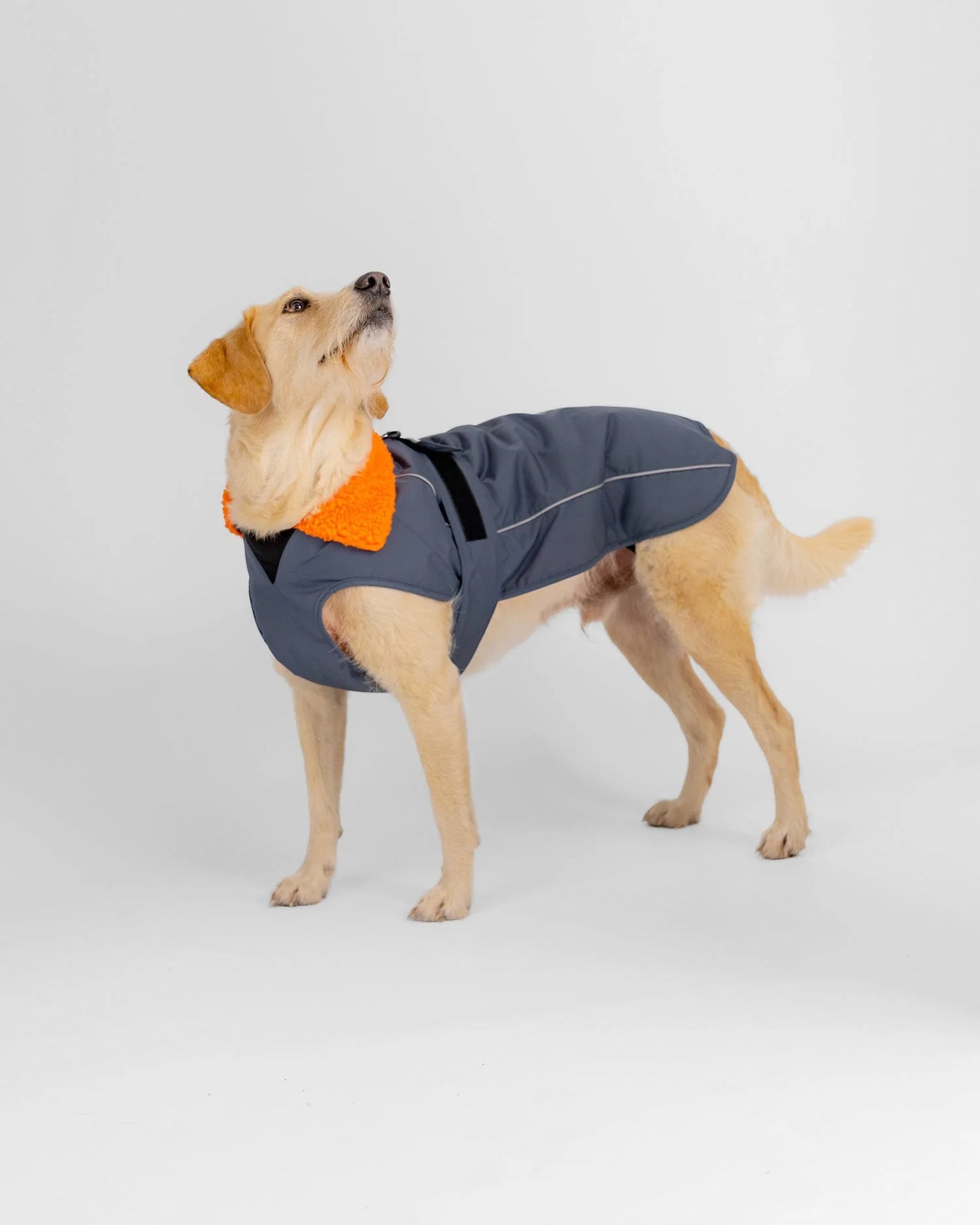 Dryrobe Dog Robe - Poole Harbour Watersports