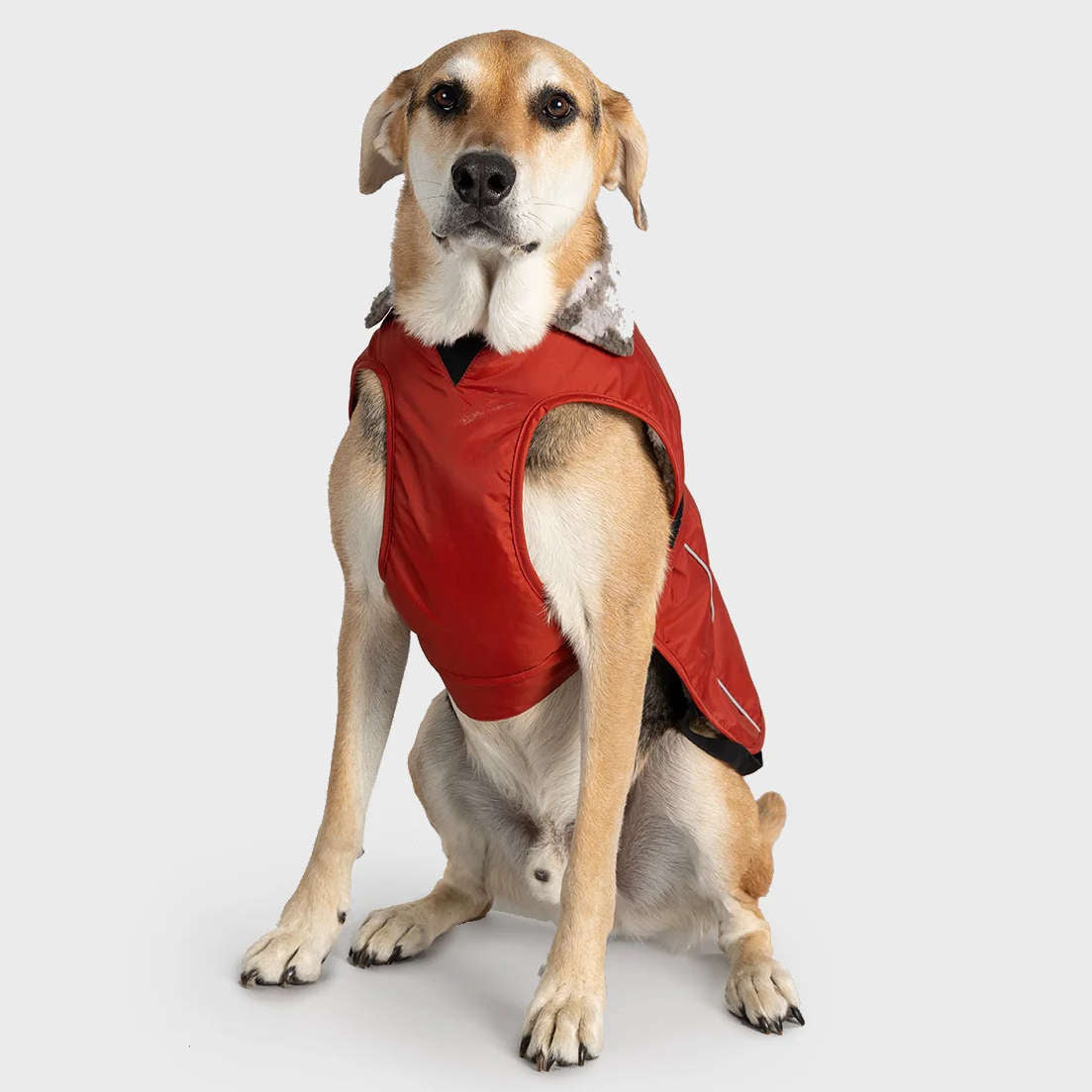 Dryrobe Dog Robe - Poole Harbour Watersports