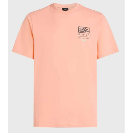 O'Neill Retro Pink T Shirt - Poole Harbour Watersports