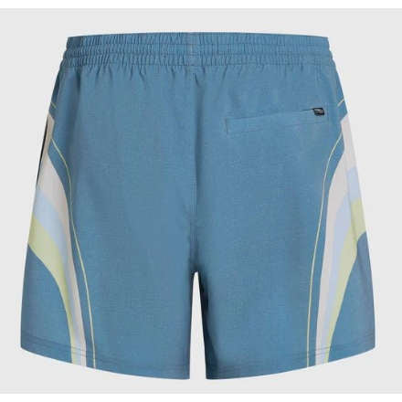 O'Neill O'Riginals Longboard 15'' Swim Shorts - Poole Harbour Watersports